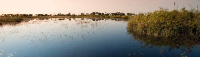 Expeditions_Okavango_278.jpg