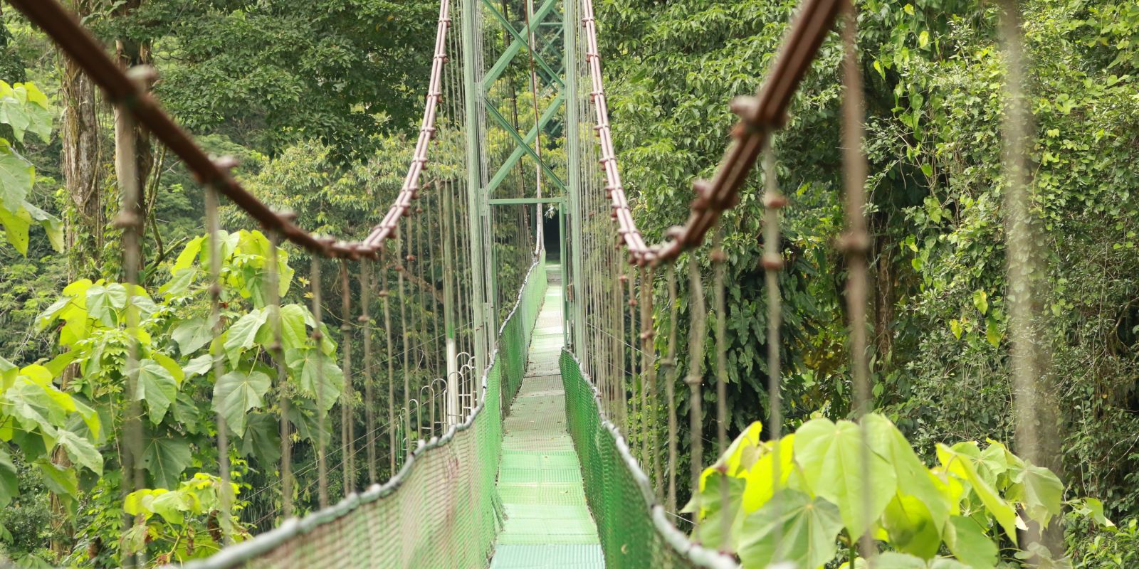 InStyle Touristik – Costa Rica – ARA Tours – Tirimbina Bridge