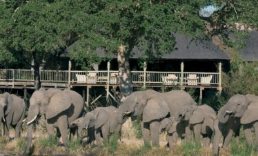 Mietwagenrundreise Garden Route und geführte Safari im Krüger Nationalpark