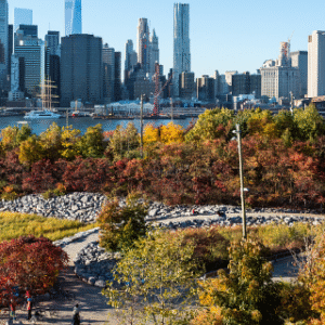 InStyle Touristik – © Julienne Schaer:NYC Tourism + Conventions – USA New York – Fall