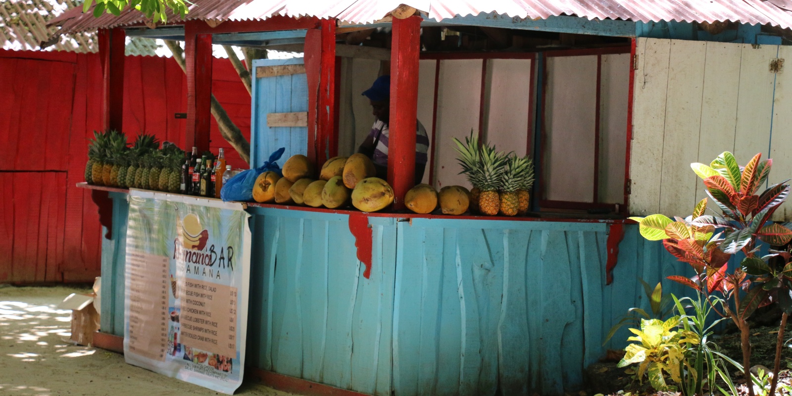 Instyle Touristik – DomRep – Einsteigerreise Samana – excursion, caribbean sea, nature, fresh fruit