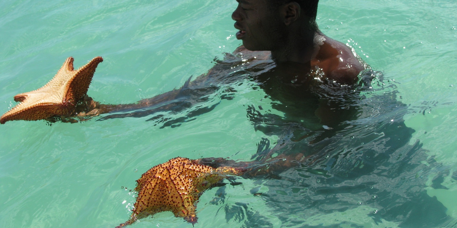 Instyle Touristik – DomRep – Einsteigerreise Saona Island – Dominican and sea stars, Bayahibe