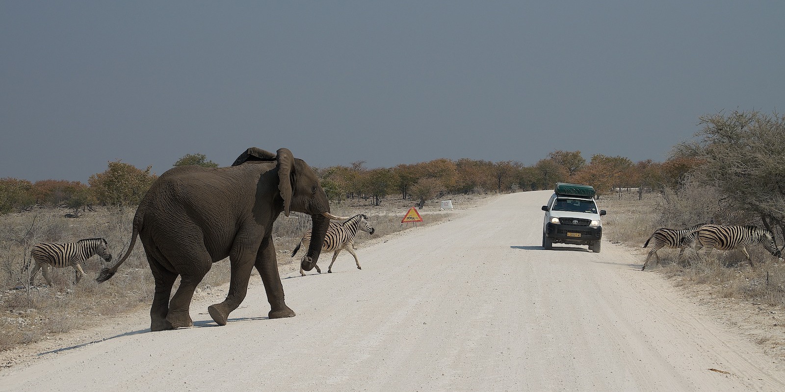 27/08/2013 – Etosha National Park, Okaukuejo, Namibia