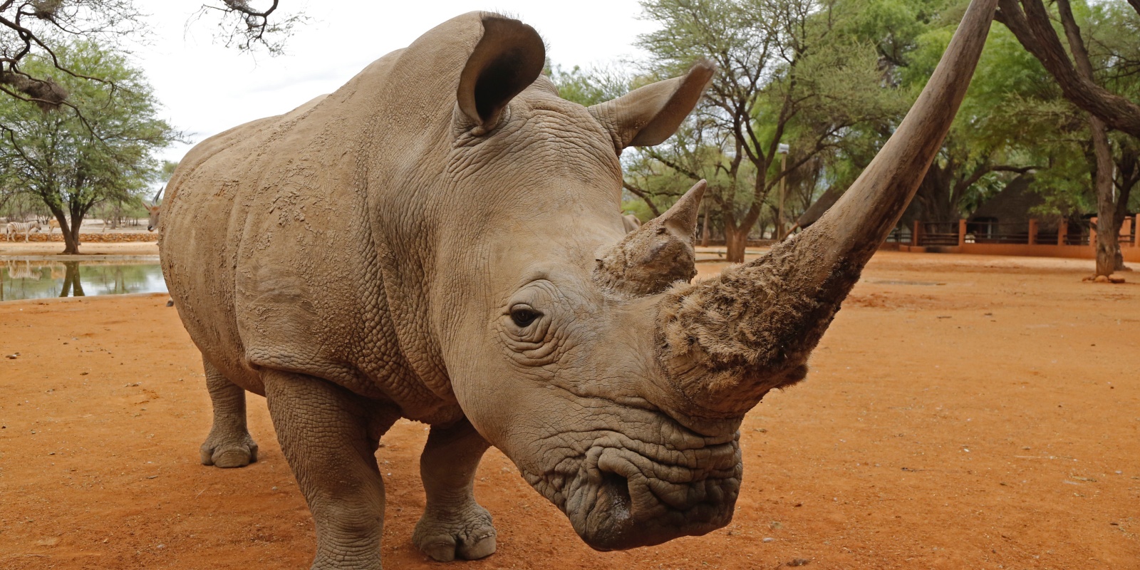 Instyle Touristik – Namibia – CopyrightNamibiaTourismBoard – Namibia Circle endless-horizons-erongo_030_52469378267_o