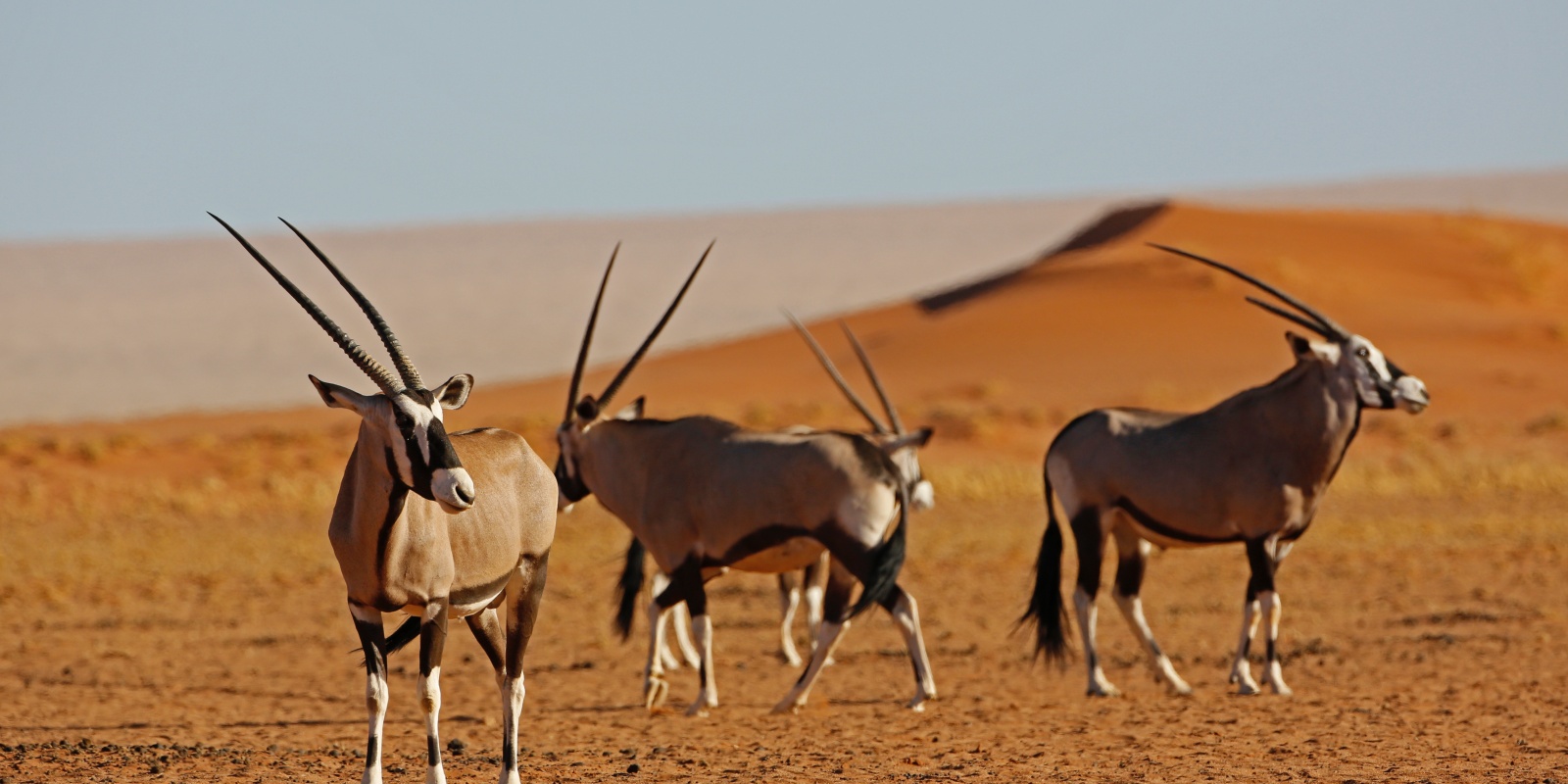 Instyle Touristik – Namibia – CopyrightNamibiaTourismBoard – Namibia Circle endless-horizons-hardap_002_52470503498_o