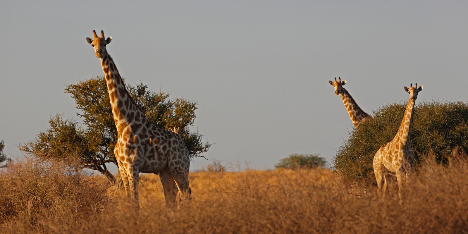 Instyle Touristik – Namibia – CopyrightNamibiaTourismBoard – Namibia Circle endless-horizons-hardap_027_52470492098_o