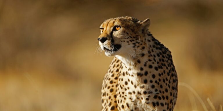 Instyle Touristik – Namibia – Magisches Namibiaendless-horizons-karas_021_49646890311_o