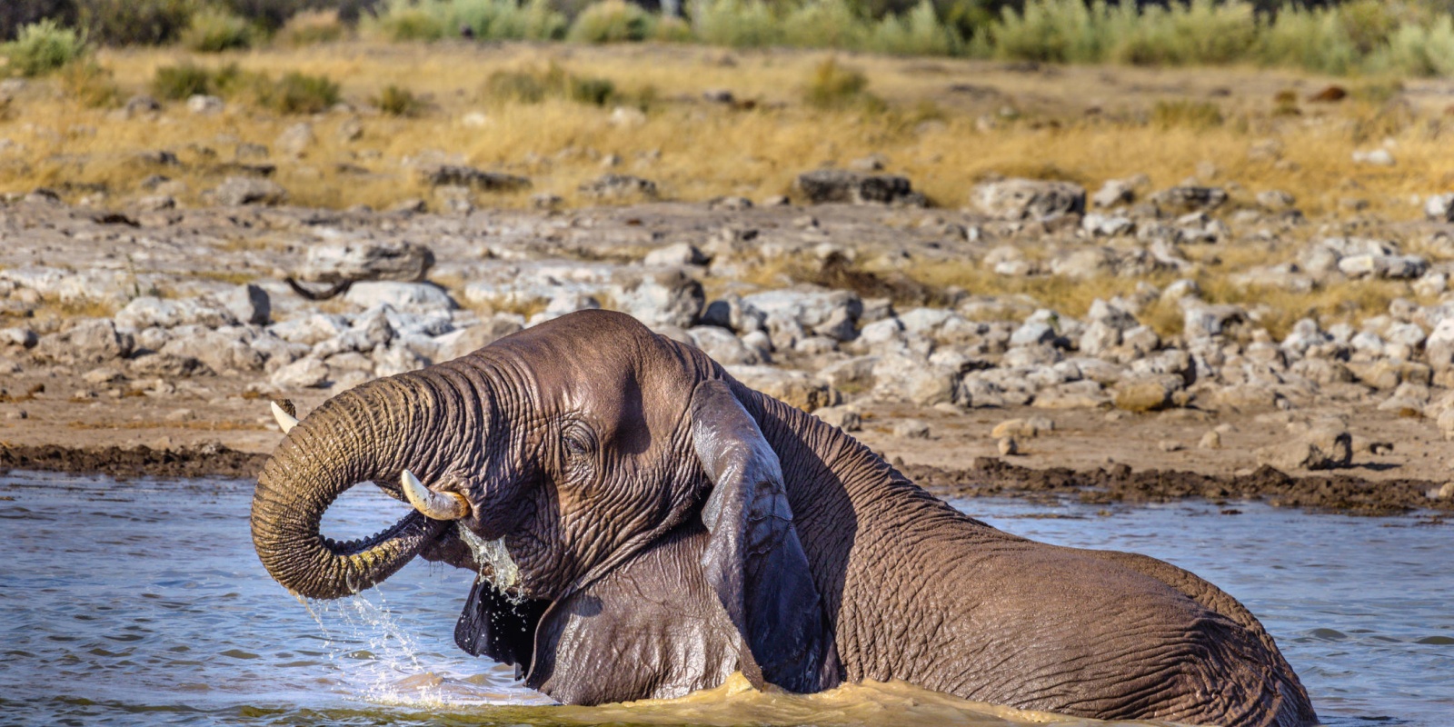 Instyle Touristik – Namibia – Namibia Explorer mushara_game_drive_photo_copyright_stefan_redecker_1