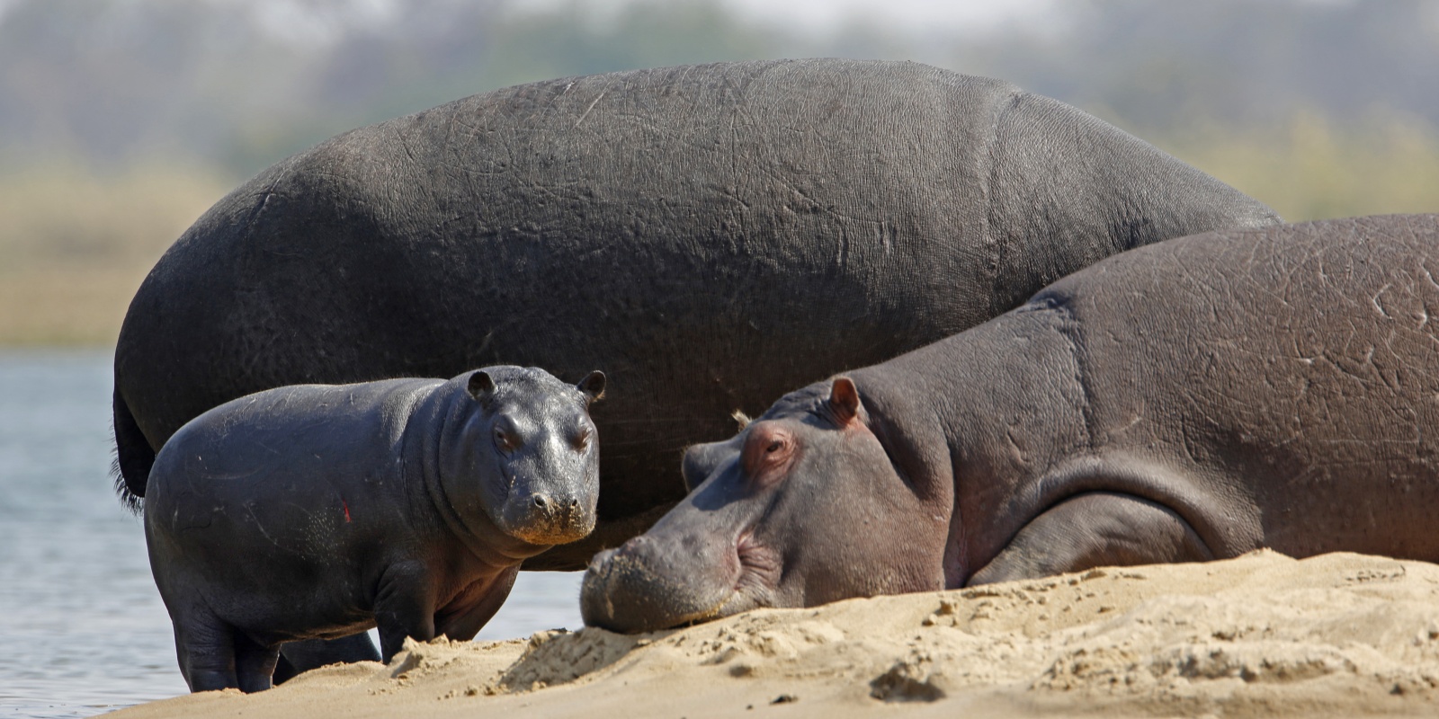 Instyle Touristik – Namibia – NorthEastCamping kavango_019_52469764926_o 2