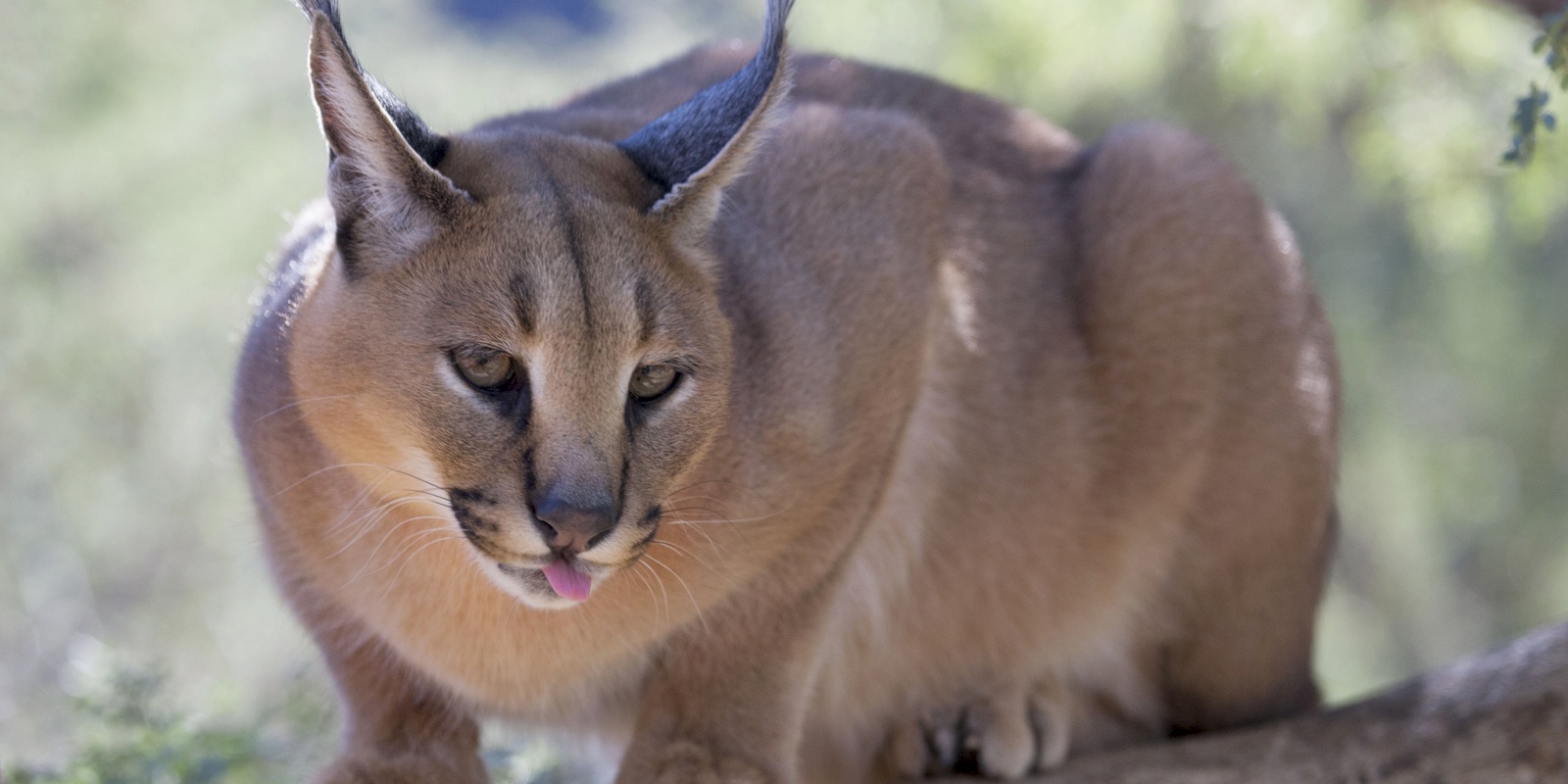 Instyle Touristik – Namibia – NorthEastCamping omaheke_0442_28065646157_o