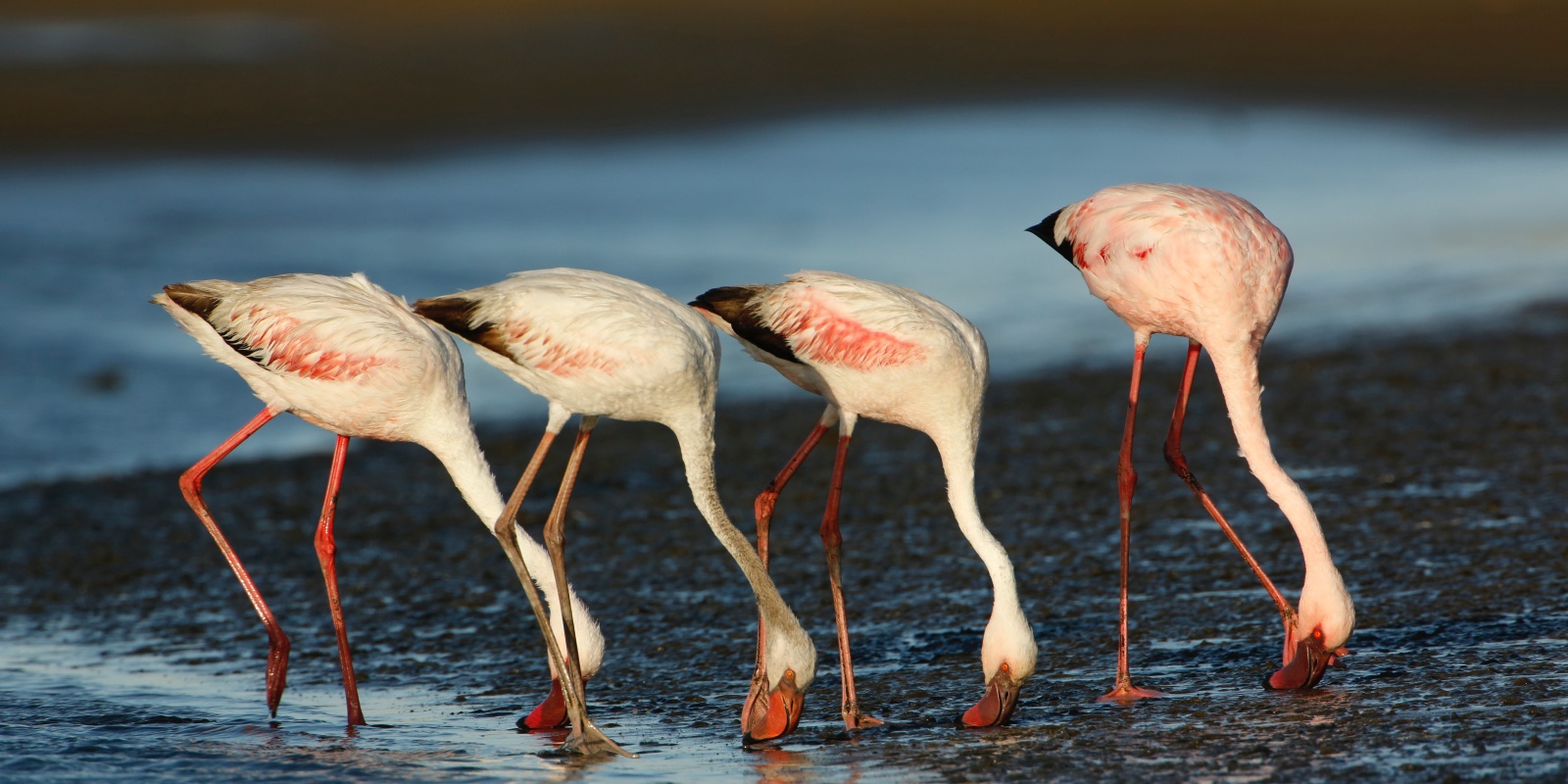 Instyle Touristik – SelectiveNamibia – Flugsafari endless-horizons-erongo_002_52470356865_o