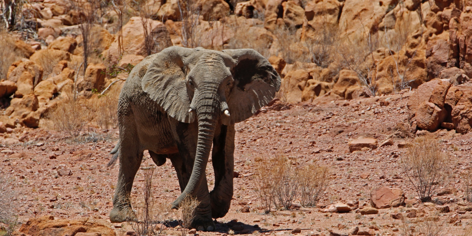 Instyle Touristik – SelectiveNamibia – Flugsafari endless-horizons-erongo_024_52470159709_o