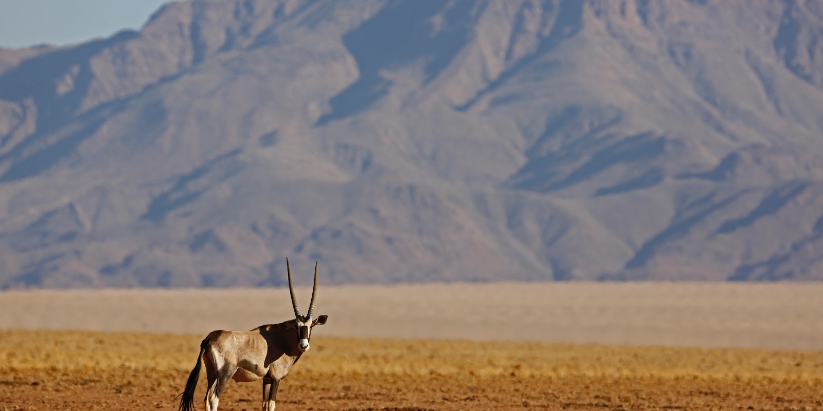 Instyle Touristik – SelectiveNamibia – Flugsafari endless-horizons-hardap_003_52470421680_o