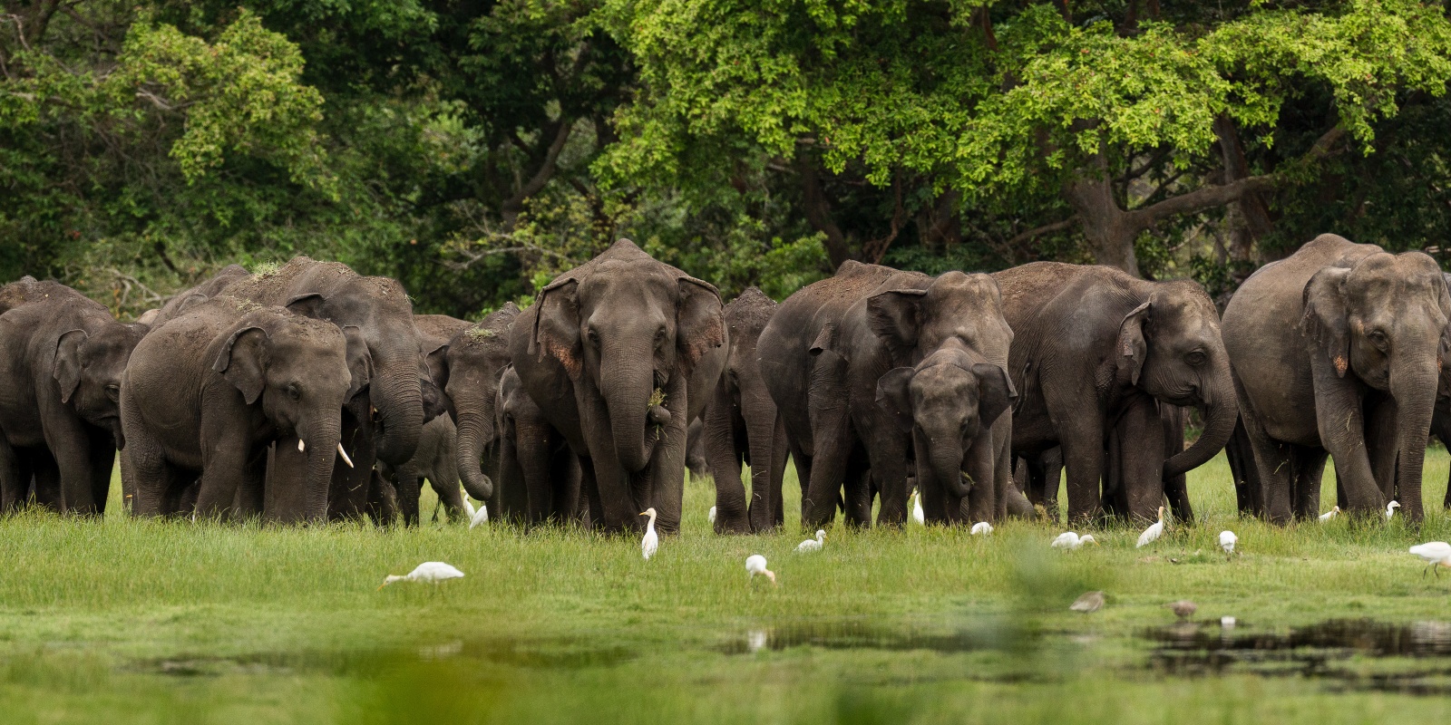 Instyle Touristik – Sri Lanka – ©SriLankanTourismBoard – Im Glanz von Prestige und Paradies158