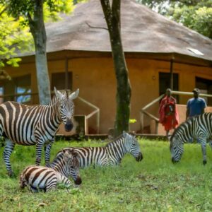 Instyle Touristik – ©FinestTravelAfrica – The Iconic – Kenia Big 5 Safari & Mombasa StrandZebras&Rooms