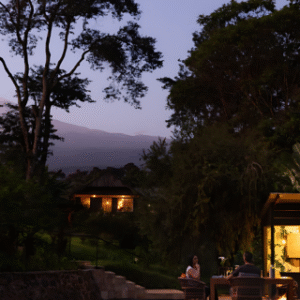 Instyle Touristik – ©FinestTravelAfrica – The Iconic Tansania SafariCoffee Lodge Mount Kilimanjaro – 5