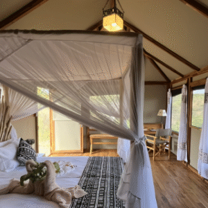 Instyle Touristik – ©FinestTravelAfrica – The Iconic Tansania SafariTarangire View Tented Lodge Tarangire National Park – 1