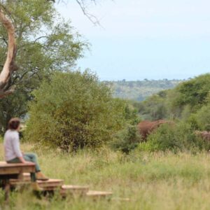 Instyle Touristik – ©FinestTravelAfrica – The Luxperience TansaniaSafariNasikia Ndovu 2019-21.1 (1)