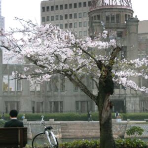 Hiroshima Decades After the Bomb
