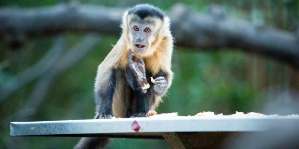 Instyle Touristik - ©Yonkana - Abenteuer Südafrika Mietwagenreise SAT-000-1763G