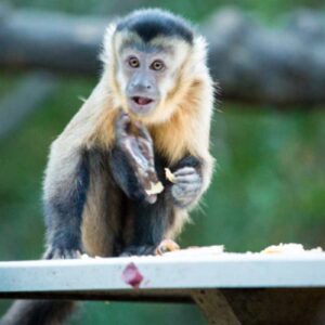 Instyle Touristik – ©Yonkana – Abenteuer Südafrika Mietwagenreise SAT-000-1763G