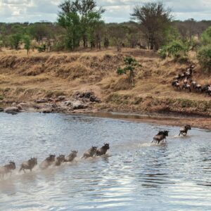 Instyle Touristik – ©FinestTravelAfrica – The Iconic Tansania und Sansibar mit Migration Mara Flussimage1