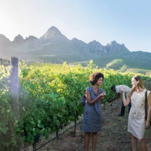 Instyle Touristik – Südafrika – The Iconic_copyright FTA Wine & Dine_Vineyard_SAT_RET_new_RGB