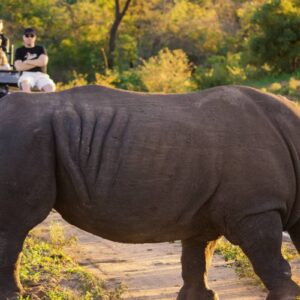 InstyleTouristik_SAT_Game Drive_Pirschfahrt mit Nashorncopyright_FTA