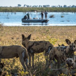 Instyle Touristik – Botswana – The Luxperience – exklusive High End Flugsafari – copyright GoVacBlack Wilderness DumaTau_5