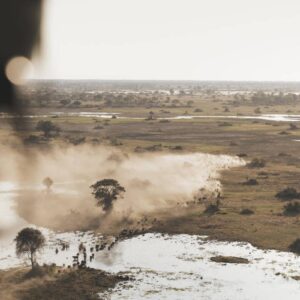 Instyle Touristik – Botswana – The Luxperience – exklusive High End Flugsafari – copyright GoVacBlack Wilderness Little Mombo_6