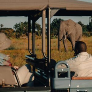 Instyle Touristik – Botswana – The Luxperience – exklusive High End Flugsafari – copyright GoVacBlack Wilderness Little Mombo_7