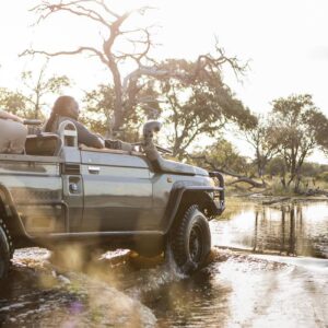 Instyle Touristik – Botswana – The Luxperience – exklusive High End Flugsafari – copyright GoVacBlack gamedrive_vumburaplains_tcunniffe_fe_0101