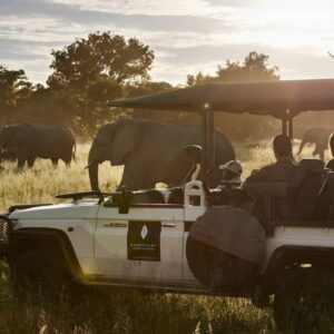 Instyle Touristik – Botswana – copyright GoVacBlack Chobe Chilwero Lodge Game Drive