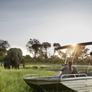 Instyle Touristik – Botswana – copyright GoVacBlack Chobe Elephants