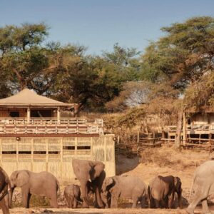 Instyle Touristik – Botswana – copyright GoVacBlack Lodge exterior
