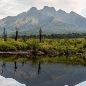 Instyle Touristik – Ruanda Gorilla Abenteuer – copyright GoVacBlack svnp_volcanoes_national_park_landscape_blackbean_4
