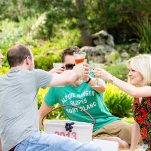 InstyleTouristik_Kapstadt & Garden Route_copyright FTA Picnic_Stellenbosch_SAT-000-1870G