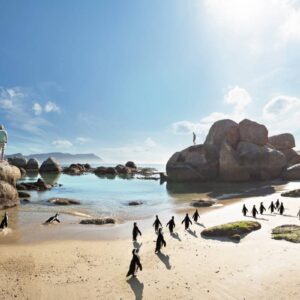 InstyleTouristik_Kapstadt, Wale & Big Five_copyright FTA WC_Area CPT_Pinguine Boulders Beach