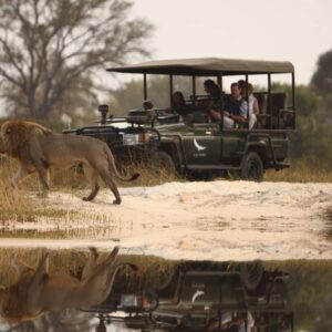 InstyleTouristik_FlugsafariBotswanaOkawangaDelta_copyright GoVacBlackSandibe Okavango Safari Lodge _11