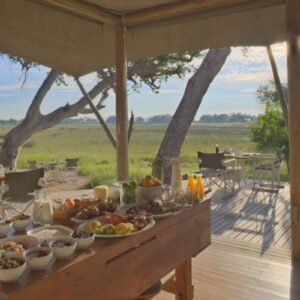 InstyleTouristik_FlugsafariBotswanaOkawangaDelta_copyright GoVacBlackXaranna Okavango Delta Camp_8