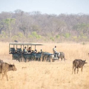 InstyleTouristik_FlugsafariBotswana_copyright GoVacBlackMVF_safari_27