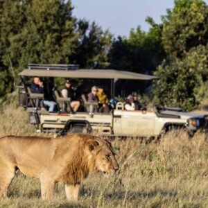 InstyleTouristik_FlugsafariWüstezumDelta_copyright GoVacBlackbots_tawana_mh_game_drive_with_lions2