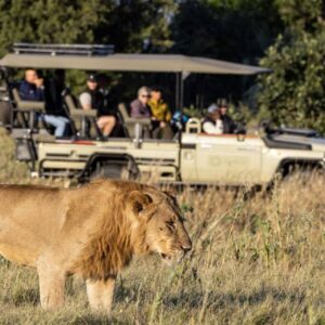 InstyleTouristik_FlugsafariWüstezumDelta_copyright GoVacBlackbots_tawana_mh_game_drive_with_lions2