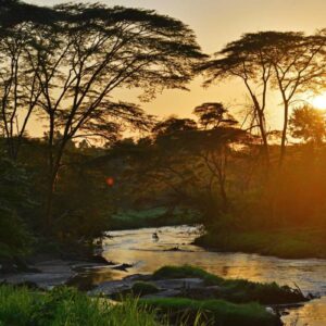 InstyleTouristik_EntdeckeUganda_copyright GoVacBlackIshasha Wilderness Camp sunrise river view