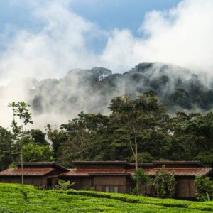 InstyleTouristik_RuandaGorillaSafari-luxury_copyright GoVacBlackOO_NyungweHouse_Exterior_Accommodation_Block_View_1527_MASTER