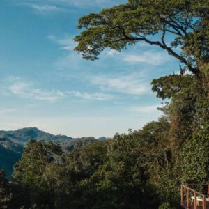 InstyleTouristik_RuandaGorillaSafari-luxury_copyright GoVacBlackOO_NyungweHouse_Wellness_Pool_Wide_Square_1270_MASTER