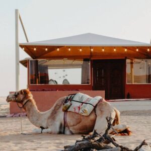 InstyleTouristik_oman-silent-dunes-camp-414897_copyrightSilentSands