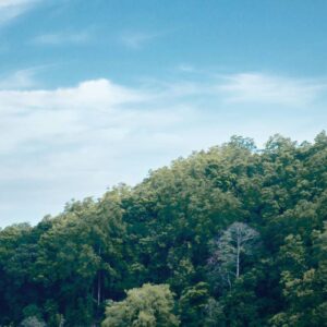 InstyleTouristik_Kandy (3)_copyrightAitkenSpace