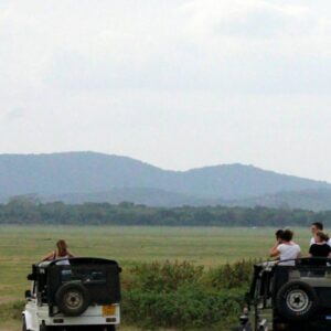 InstyleTouristik_Minneriya (3)_copyrightAitkenSpace
