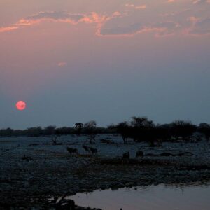 27/08/2013 – Etosha National Park, Okaukuejo, Namibia